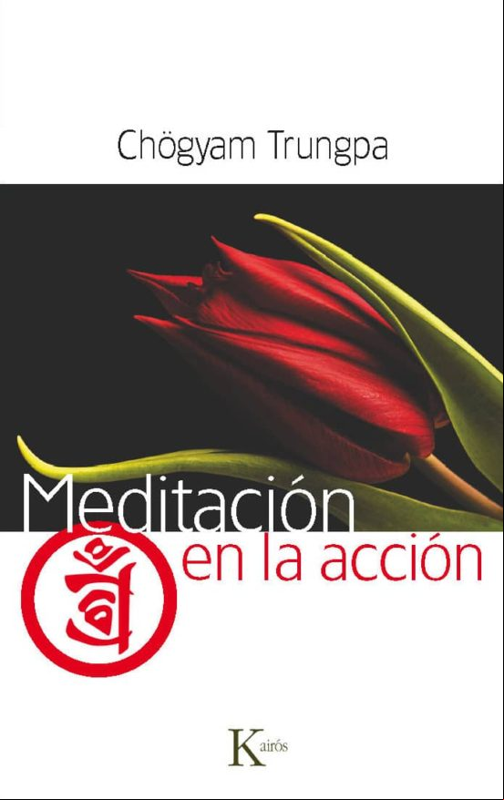 Meditación En La Acción (ebook)