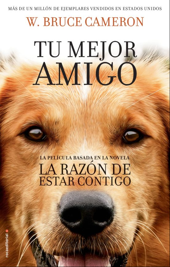 La Razón De Estar Contigo (ebook)