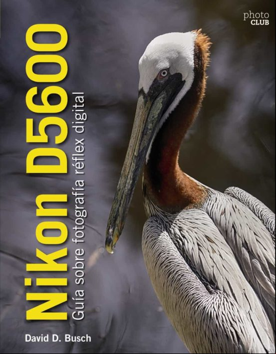 Nikon D5600: Guía Sobre Fotografía Réflex Digital