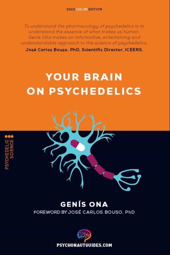 Your Brain On Psychedelics