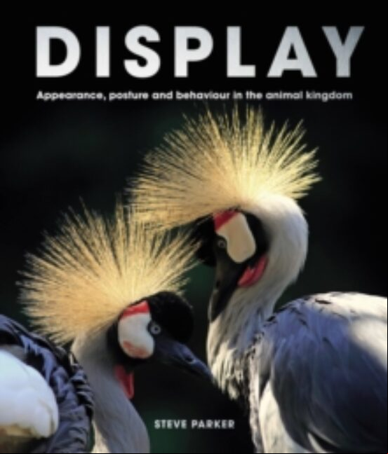 DISPLAY : APPEARANCE, POSTURE AND BEHAVIOUR IN THE ANIMAL KINGDOM (edición en inglés)