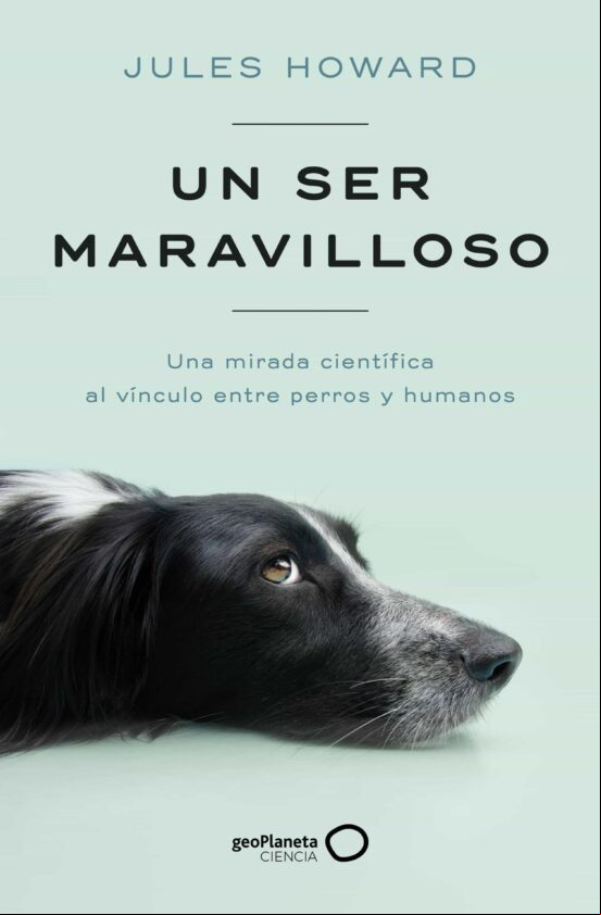 UN SER MARAVILLOSO EBOOK