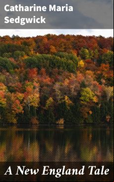 A New England Tale (ebook)