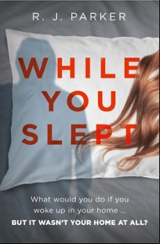 WHILE YOU SLEPT (edición en inglés)