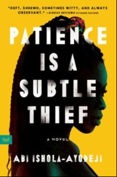 PATIENCE IS A SUBTLE THIEF (edición en inglés)