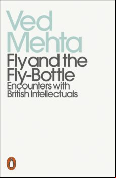 Fly And The Fly-bottle (ebook)