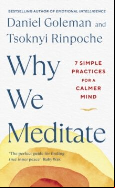 WHY WE MEDITATE : 7 SIMPLE PRACTICES FOR A CALMER MIND (edición en inglés)
