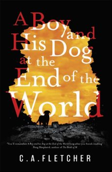 A BOY AND HIS DOG AT THE END OF THE WORLD (edición en inglés)
