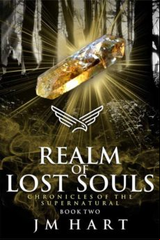 REALM OF LOST SOULS EBOOK (edición en inglés)