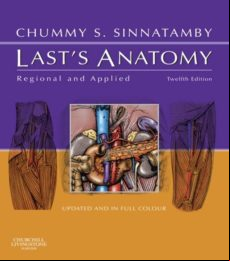Lasts Anatomy International Edition (ebook)