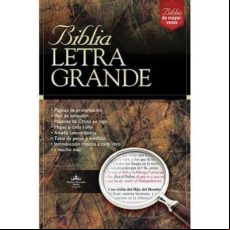 Biblia Letra Grande-rv 1960