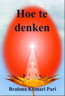 HOE TE DENKEN EBOOK