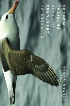 Glimpses Of Creatures In Their Physical Worlds (ebook)