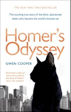 Homers Odyssey (ebook)
