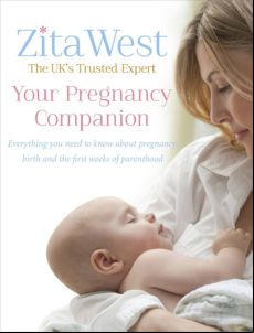 Your Pregnancy Companion (ebook)
