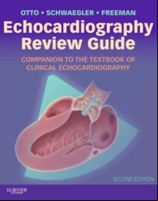 Echocardiography Review Guide E-book (ebook)