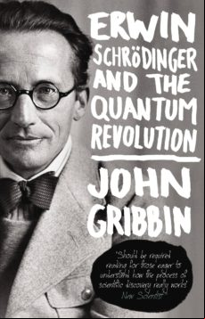 Erwin Schrodinger And The Quantum Revolution (ebook)