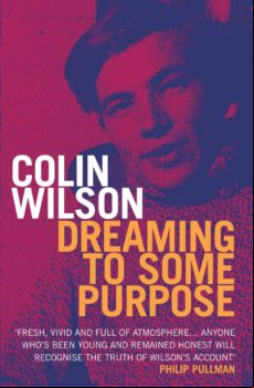 Dreaming To Some Purpose (ebook)