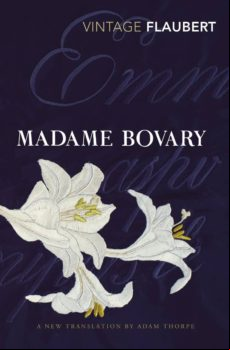 Madame Bovary (ebook)