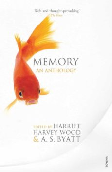 Memory (ebook)