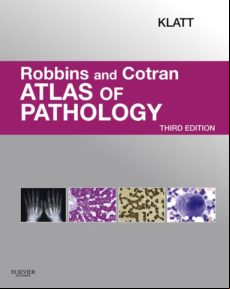 Robbins And Cotran Atlas Of Pathology E-book (ebook)