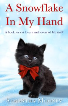 A Snowflake In My Hand (ebook)