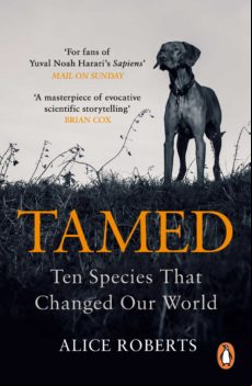 Tamed (ebook)