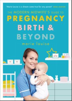 The Modern Midwifes Guide To Pregnancy Birth And Beyond (ebook)