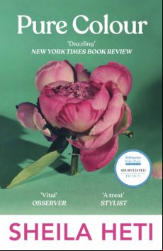 Pure Colour (ebook)