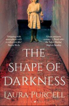 THE SHAPE OF DARKNESS (edición en inglés)