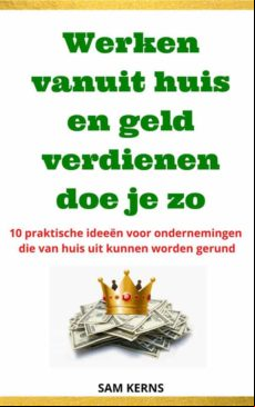 WERKEN VANUIT HUIS EN GELD VERDIENEN DOE JE ZO EBOOK
