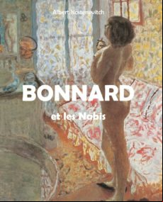 Bonnard Et Les Nabis (ebook)