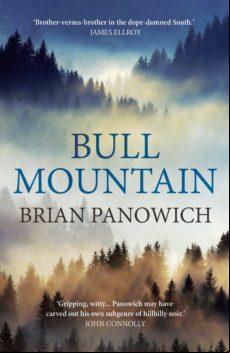 BULL MOUNTAIN EBOOK (edición en inglés)