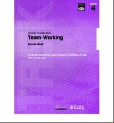 TEAM WORKING (edición en inglés)