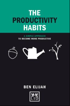The Productivity Habits (ebook)