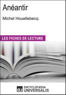 ANÉANTIR DE MICHEL HOUELLEBECQ EBOOK (edición en francés)