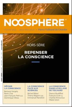 Revue Noosphère - Hors Série 1 (ebook)