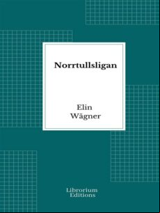 NORRTULLSLIGAN EBOOK (edición en sueco)