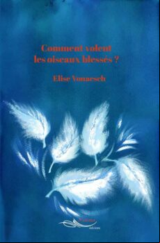 COMMENT VOLENT LES OISEAUX BLESSÉS ? EBOOK (edición en francés)