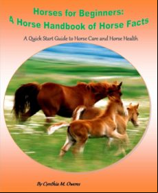 Horses For Beginners: A Horse Handbook Of Horse Facts (ebook)