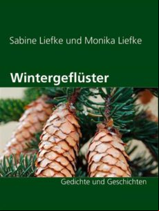 WINTERGEFLÜSTER EBOOK (edición en alemán)