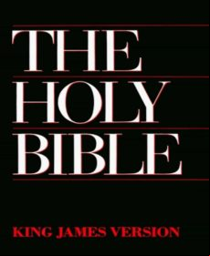 The Holy Bible (ebook)