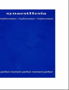 SYNAESTHESIA EBOOK (edición en alemán)