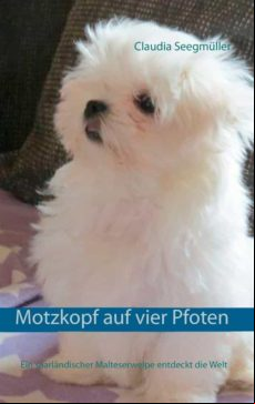 MOTZKOPF AUF VIER PFOTEN EBOOK (edición en alemán)
