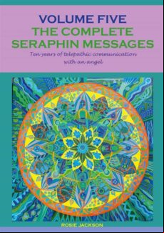 THE COMPLETE SERAPHIN MESSAGES: VOLUME 5 EBOOK (edición en inglés)