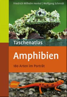 Taschenatlas Amphibien (ebook)