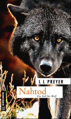 Nahtod (ebook)