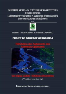 Projet De Barrage Grand Inga (ebook)