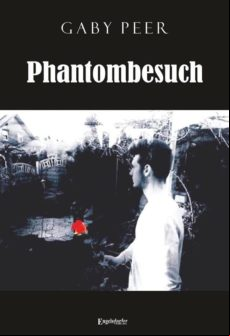 Phantombesuch (ebook)