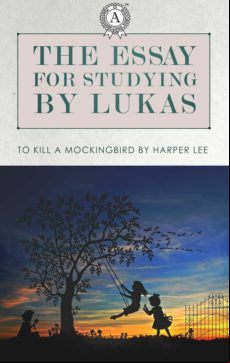 The Essays For Studying By Lukas: To Kill A Mockingbird By Harper Lee